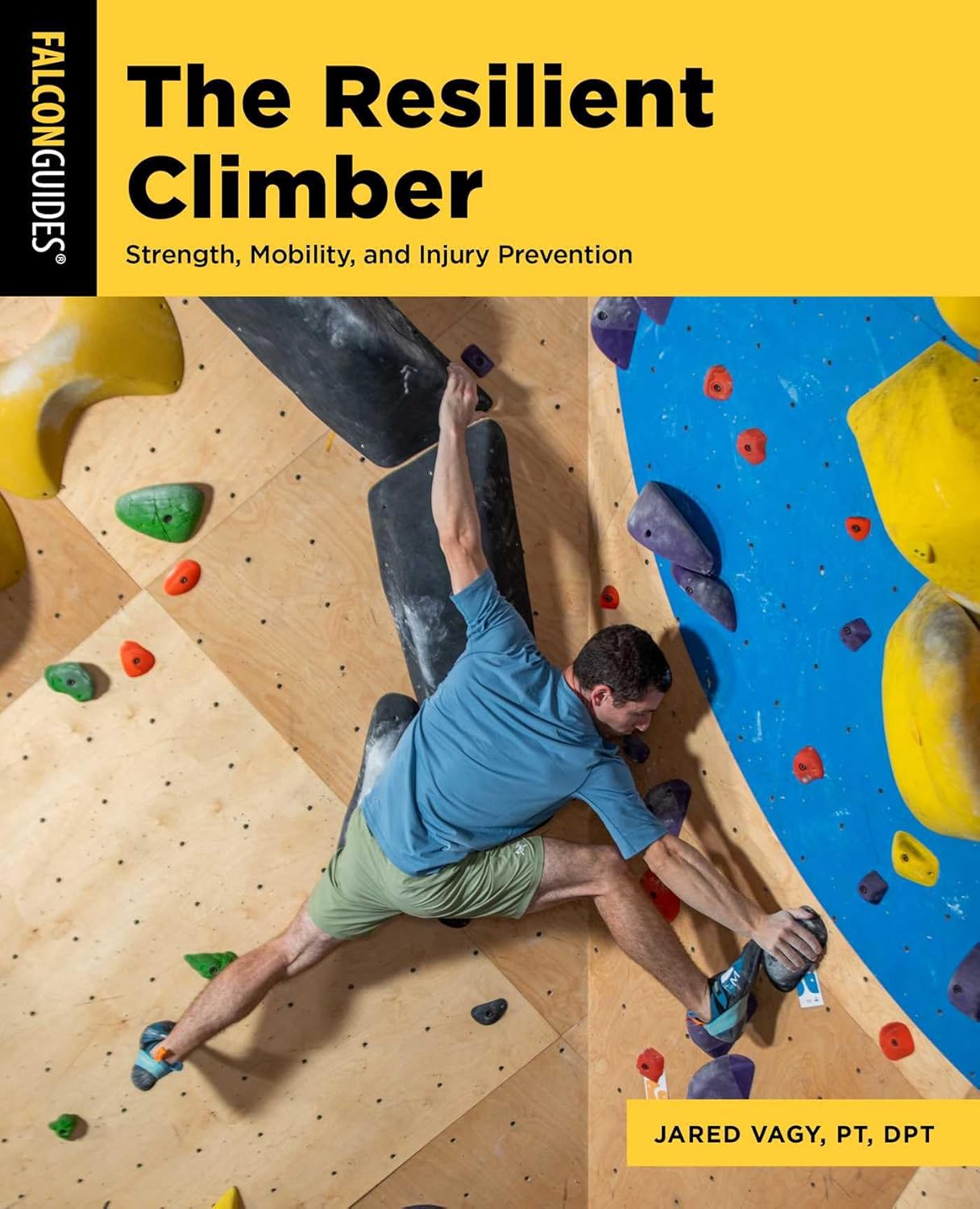 The resilient climber book by dr. jared vagy